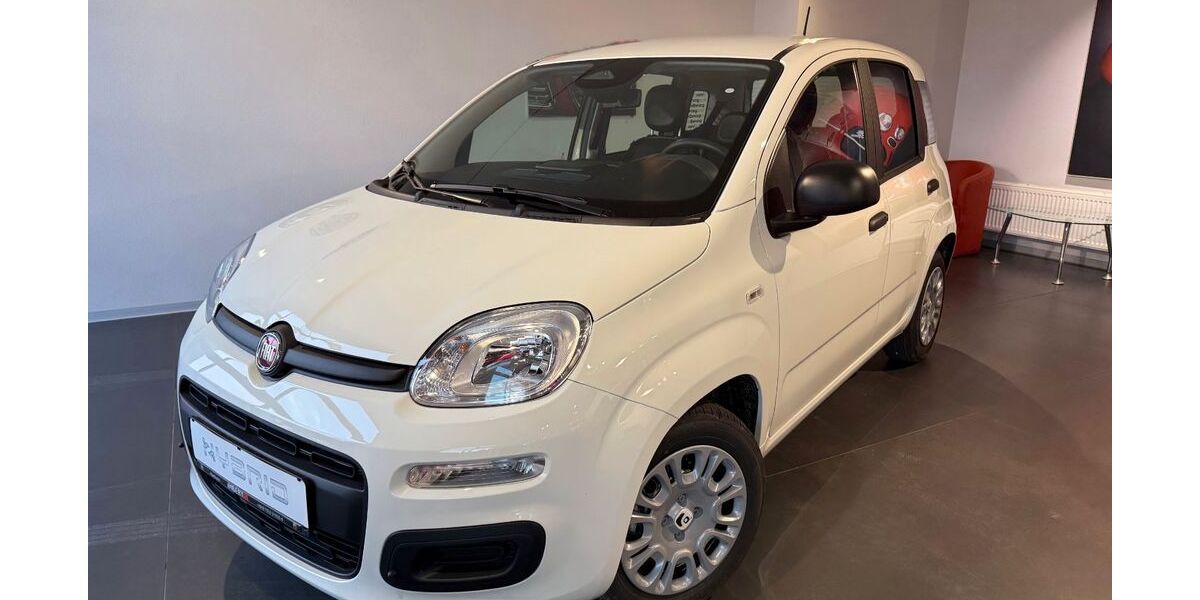 Fiat Panda 1.500 km 15.900 &euro; Hartheim am Rhein 79258