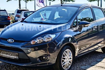 Ford Fiesta 165.000 km 3.790 &euro; Penkow 17213