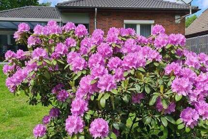 Haus Hemmingstedt - 4 Zimmer, 102 m&sup2;, 359.000&euro; | Angebot:25525303