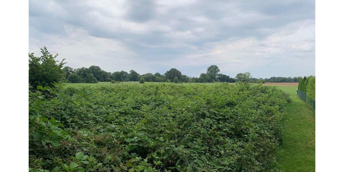 Grundstück Kaltenkirchen - 70.000&euro; | Angebot:24710738