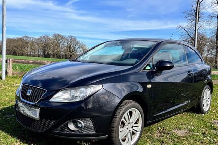 Seat Ibiza 167.500 km 3.200 &euro; Schwanewede 28790