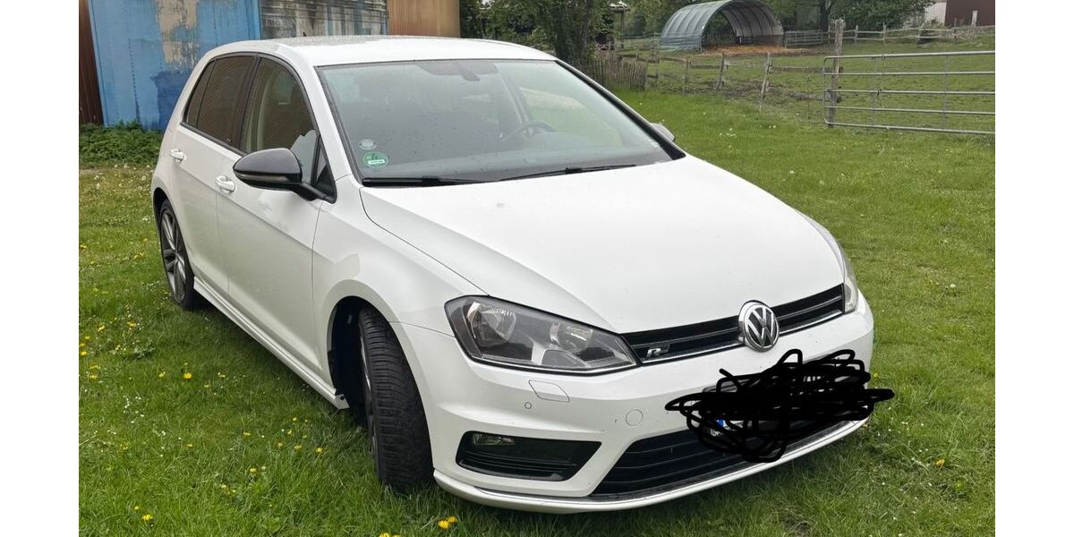 VW Golf 196.000 km 7.000 &euro; Tramm 21516