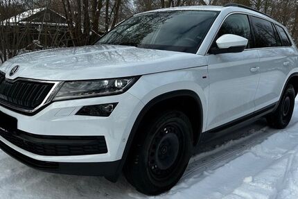 Skoda Kodiaq 169.977 km 22.000 &euro; Braunschweig 38120