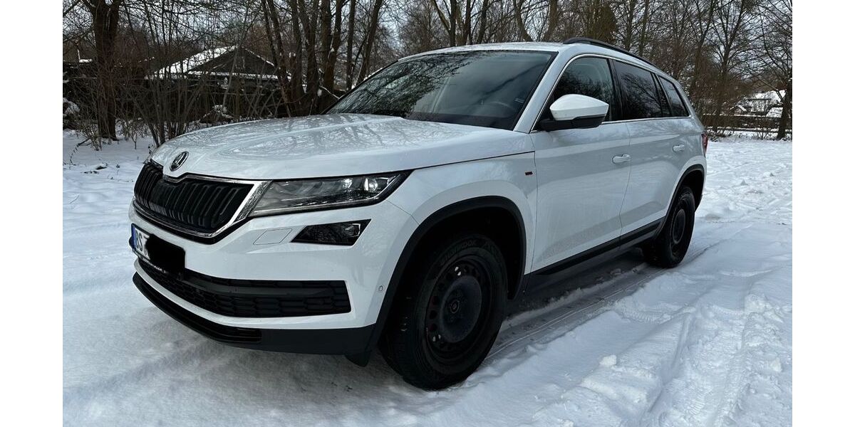 Skoda Kodiaq 169.977 km 22.000 &euro; Braunschweig 38120