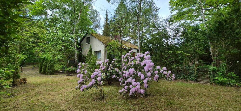 Charmantes EFH mit viel Liebe zum Detail auf individuellem Grundstück - Einfamilienhaus Gartow Nienwalde | Angebot:26756142