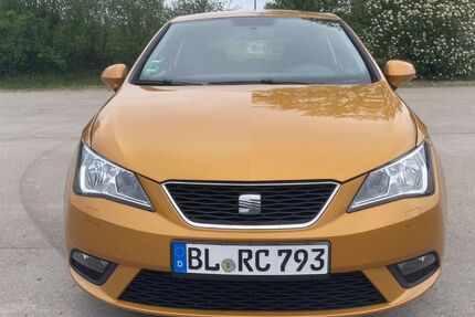 Seat Ibiza 162.171 km 3.470 &euro; Burladingen 72393