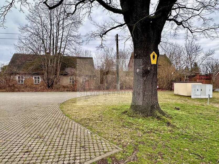 Grundstück zu verkaufen in Vetschau Missen 65.000 € 1791 m² zimmer