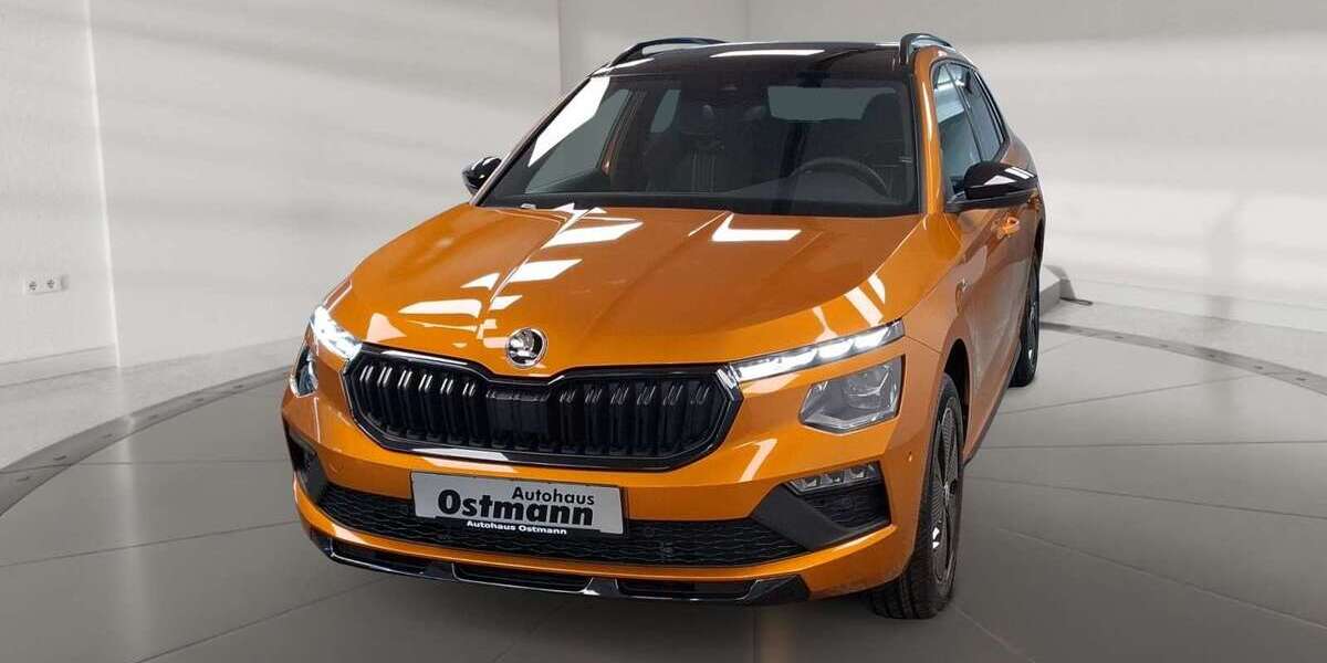 Skoda Kamiq 3.900 km 31.689 &euro; Wolfhagen 34466