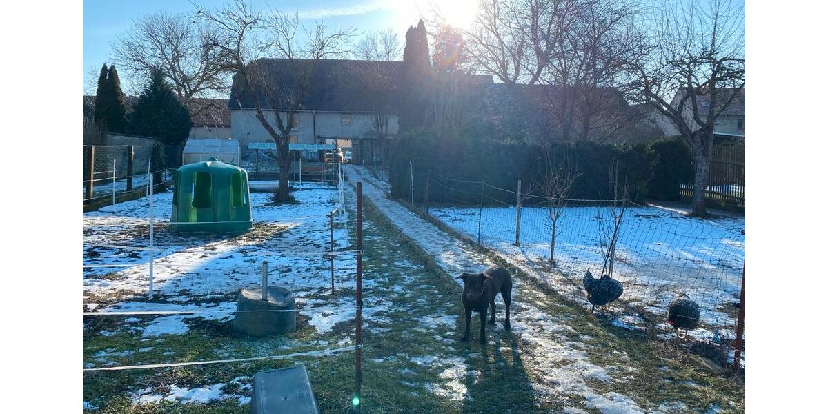 Bauernhaus, Landhaus Nebra (Unstrut) - 5 Zimmer, 130 m&sup2;, 200.000&euro; | Angebot:26497970