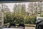 Erdgeschoßwohnung Willstätt - 4 Zimmer, 122 m&sup2;, 1.485&euro; | Angebot:25232895