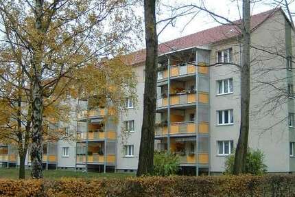 Wohnung zum Mieten in Finsterwalde 347,02 € 58.43 m² 2.5 zimmer