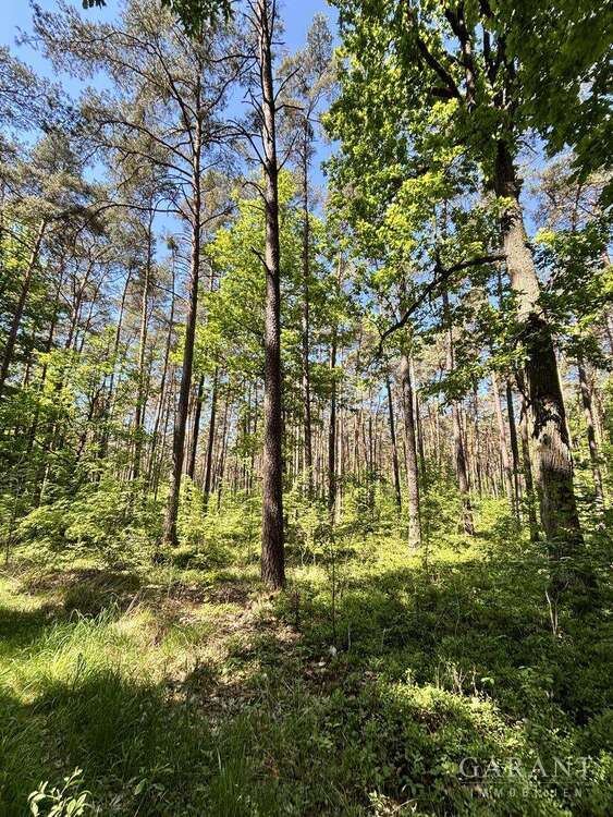 Grundstück in Mühlhausen 298.623 € 86700 m²