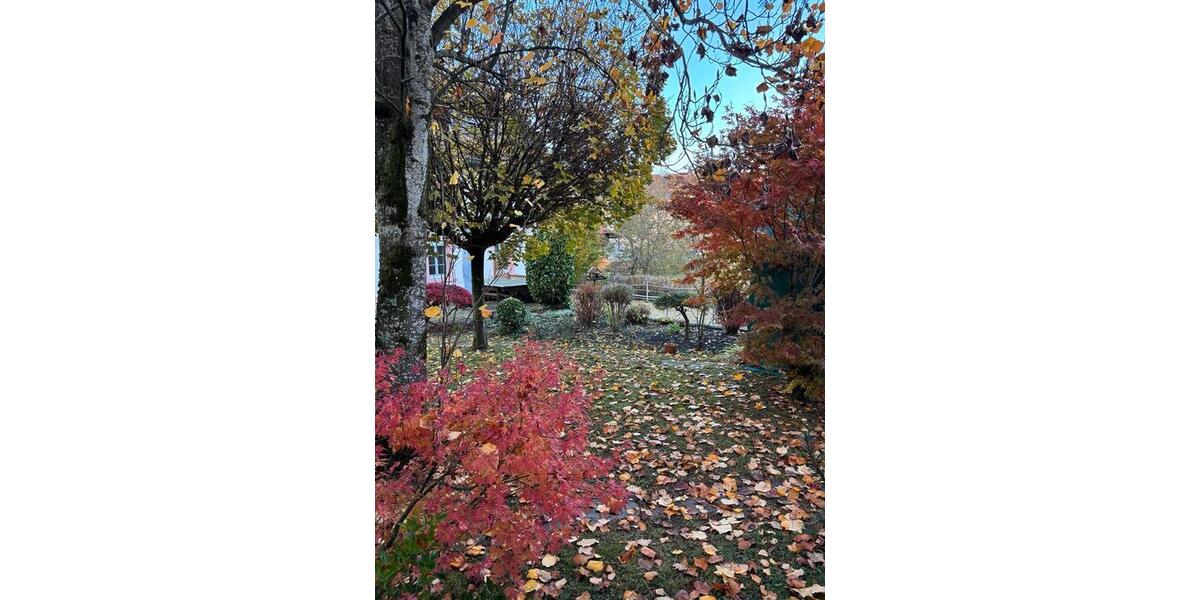 Bauernhaus, Landhaus Laufenburg (Baden) - 5 Zimmer, 342 m&sup2;, 1.475.000&euro; | Angebot:24639624