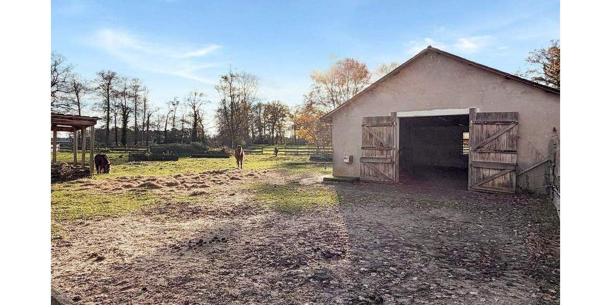 Mehrfamilienhaus, Wohnhaus Rahden Pr. Ströhen - 8 Zimmer, 335 m&sup2;, 1.488.000&euro; | Angebot:25686699