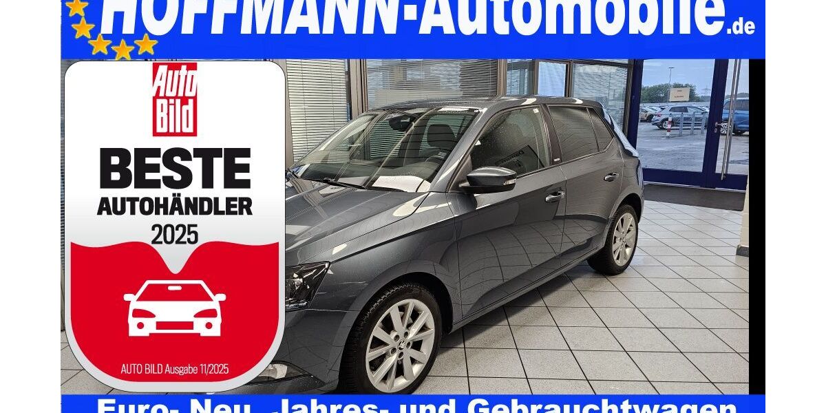 Skoda Fabia 49.579 km 13.900 &euro; Wolfsburg-Heiligendorf 38444