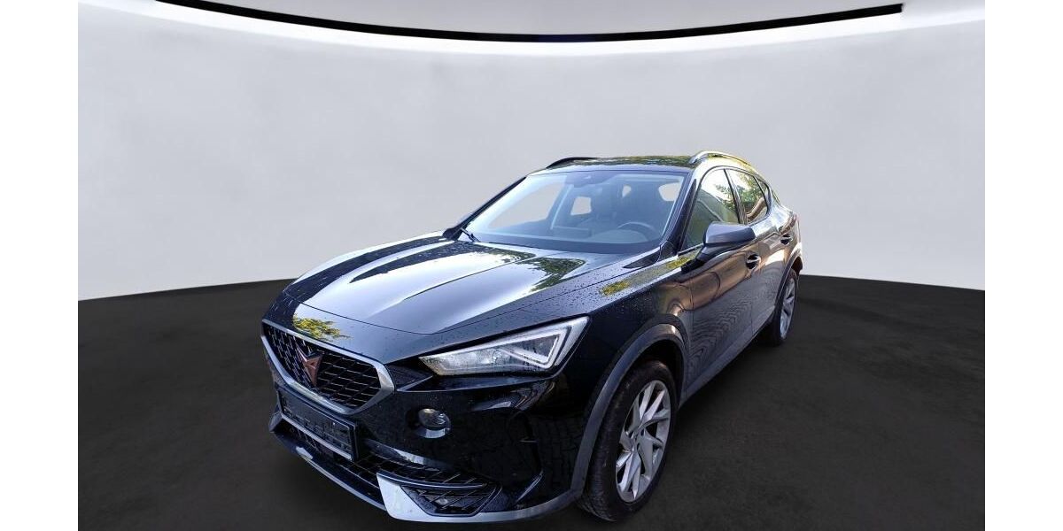 Cupra Formentor 123.153 km 19.990 &euro; Braunschweig 38122