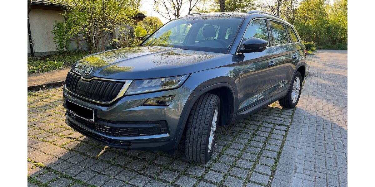 Skoda Kodiaq 119.390 km 21.000 &euro; Bruchsal 76646