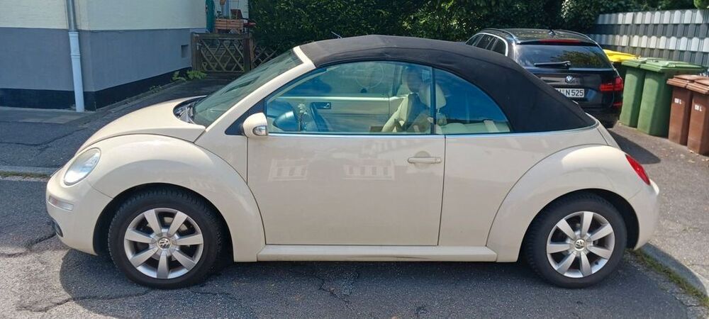 Beetle