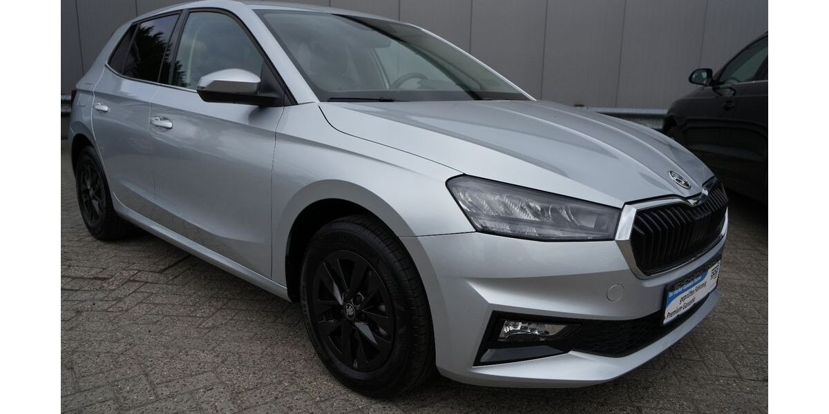 Skoda Fabia 25.000 km 19.990 &euro; Ihlow 26632