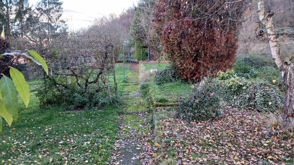 Einfamilienhaus Beckingen - 5 Zimmer, 110 m&sup2;, 96.000&euro; | Angebot:27279294