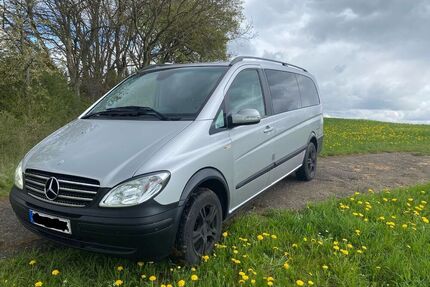 Mercedes Viano