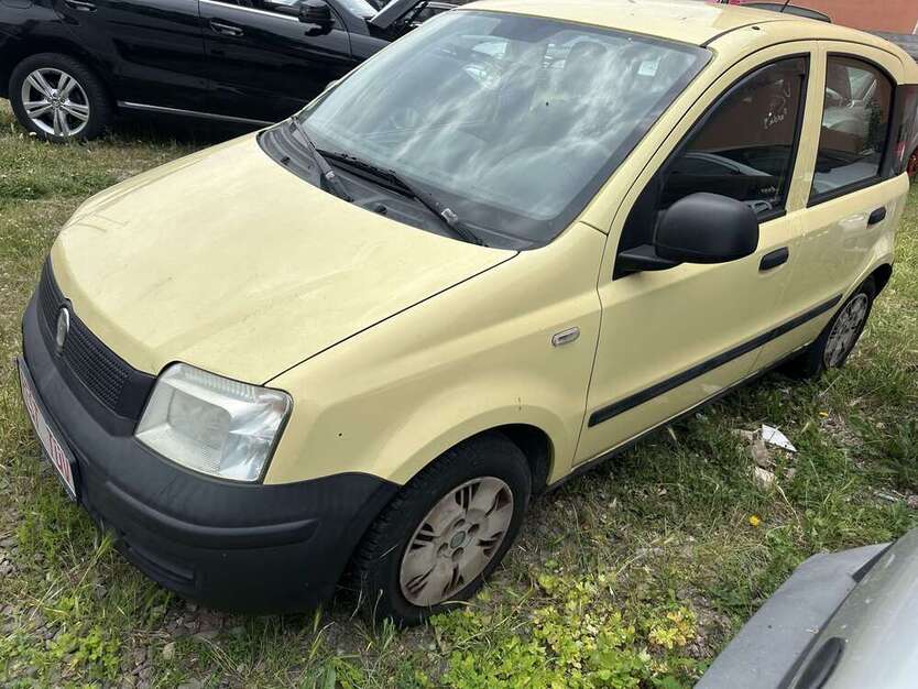 Panda