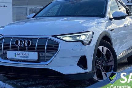 Audi e-tron 13.873 km 29.348 &euro; Schrobenhausen-Edelshsn. 86529