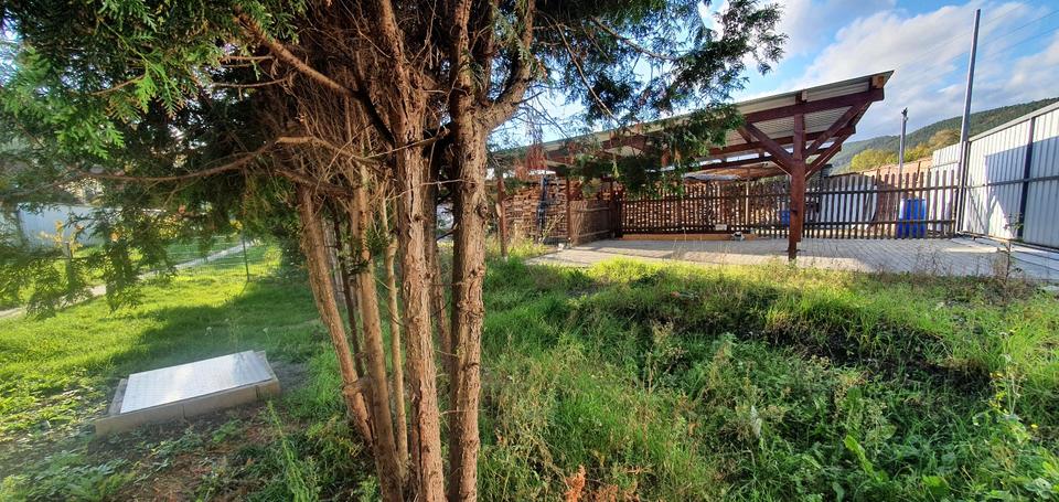 Bungalow Rudolstadt - 2 Zimmer, 50 m&sup2;, 300&euro; | Angebot:25269964