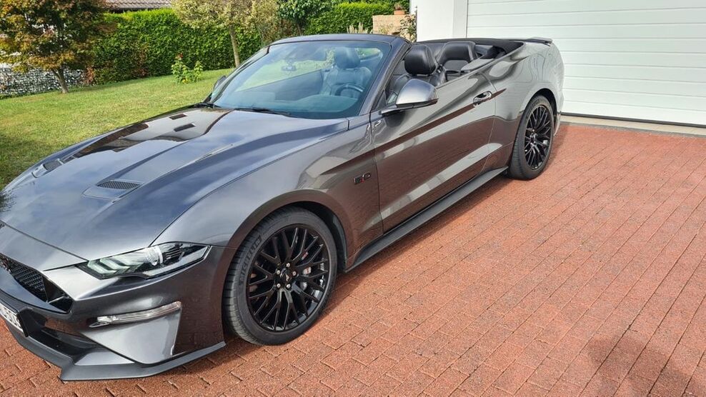 Mustang