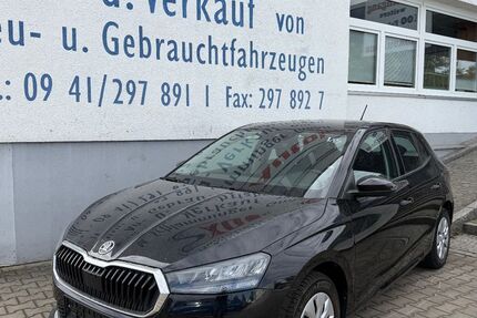 Skoda Fabia 50.781 km 13.890 &euro; Regensburg 93057