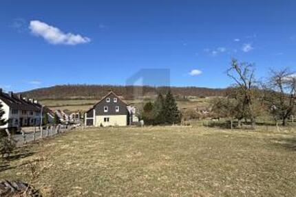 TEILBAR & SOFORT BEBAUUNGSBEREIT! - Grundstück Dassel | Angebot:26093836