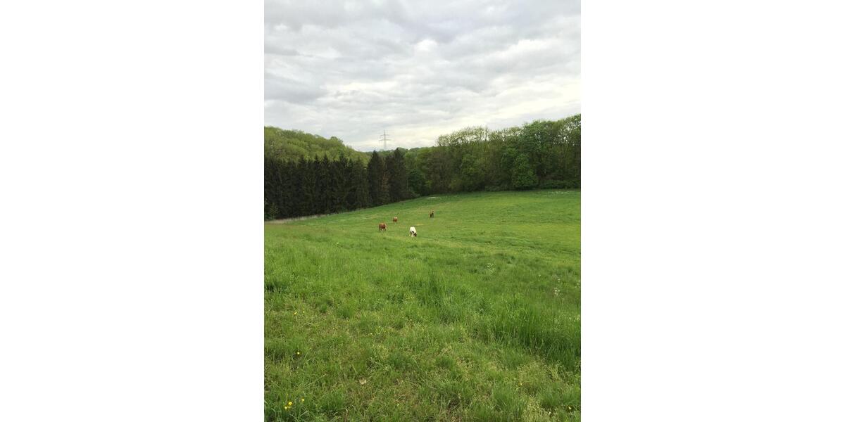 Bauernhaus, Landhaus Ilshofen - 8 Zimmer, 260 m&sup2;, 1.499.000&euro; | Angebot:26058982