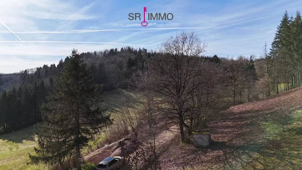 Grundstück Lasel - 80.000&euro; | Angebot:25683877