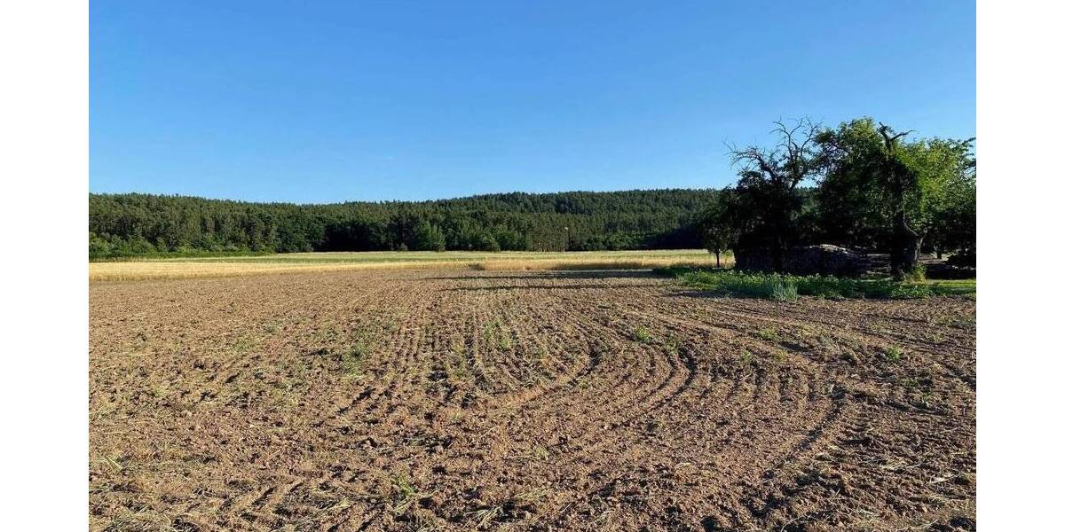 Einfamilienhaus Langenzenn - 4 Zimmer, 151 m&sup2;, 595.540&euro; | Angebot:25661062