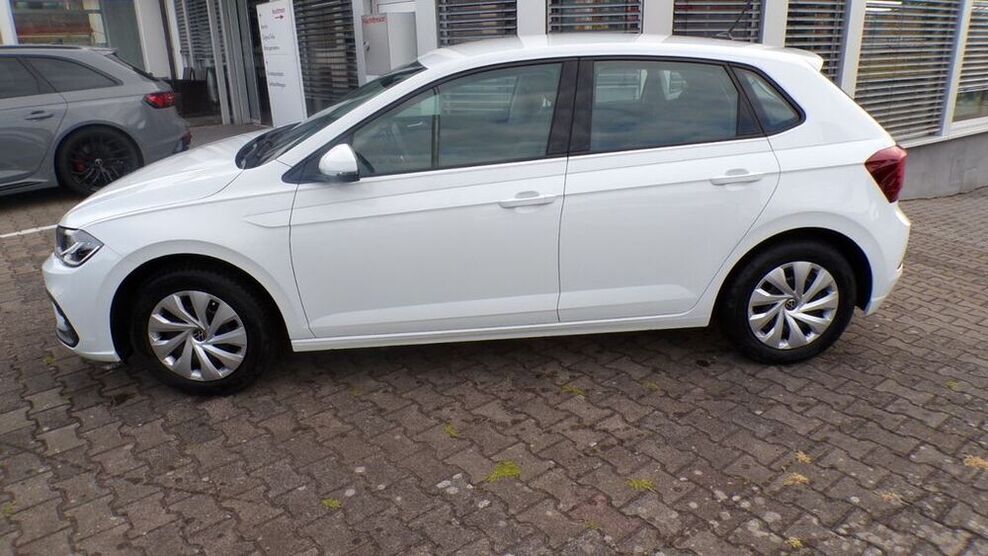 Polo