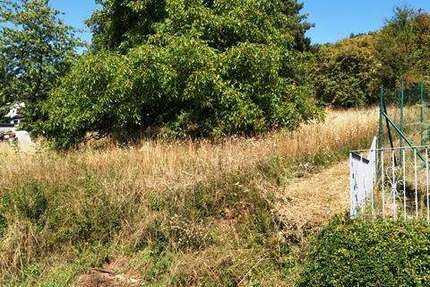 Grundstück zu verkaufen in Lauda-Königshofen 99.000 € 967 m² zimmer