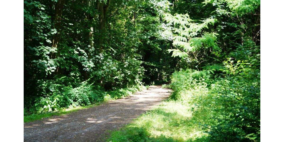 Grundstück Bad Saarow Bad Saarow-Pieskow - 259.000&euro; | Angebot:25663573