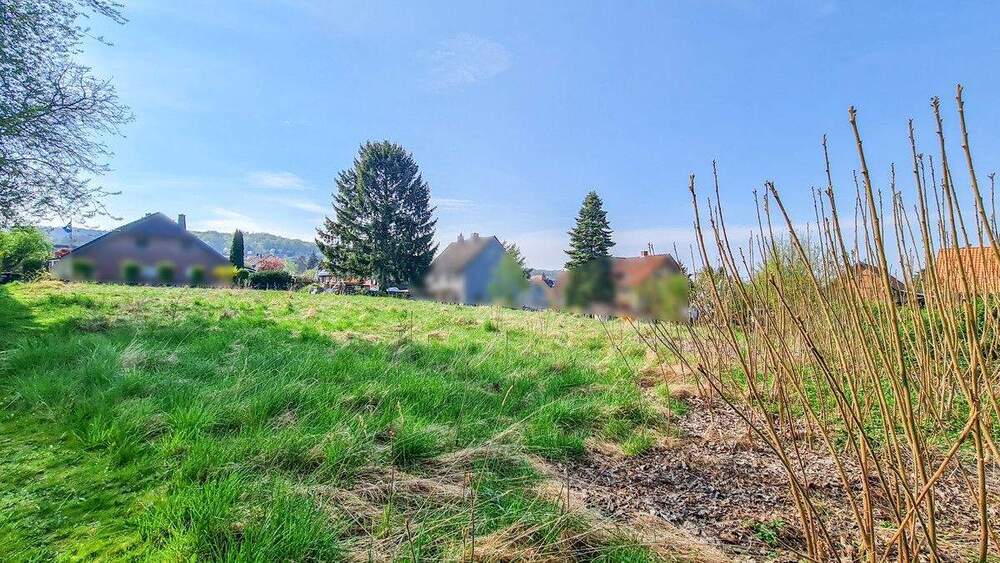 Grundstück Liebenburg Groß Döhren - 49.000&euro; | Angebot:25095496