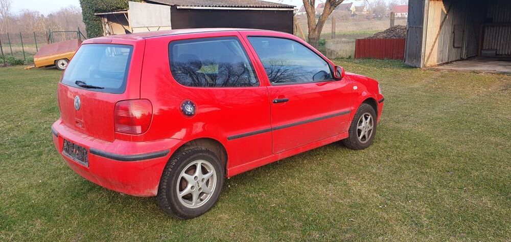 Polo