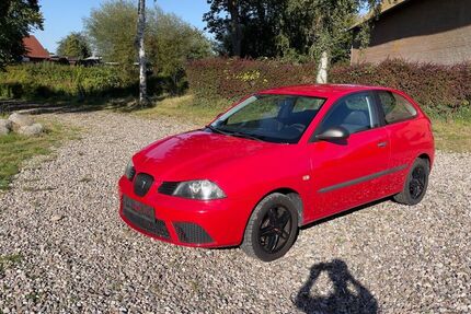 Seat Ibiza 147.500 km 2.990 € Grömitz 23743