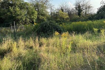 Grundstück Bexbach Oberbexbach - 49.000&euro; | Angebot:25729707