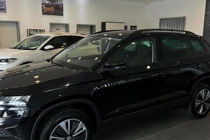 Skoda Karoq 178.985 km 16.985 &euro; Volkmarsen 34471