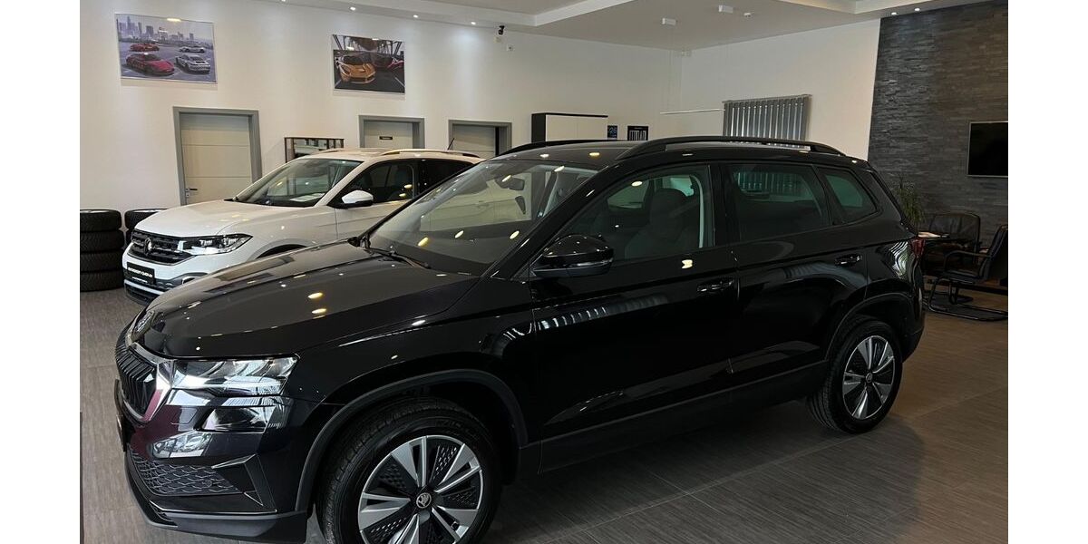 Skoda Karoq 178.985 km 16.985 &euro; Volkmarsen 34471