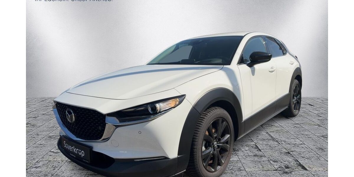 Mazda CX-30 37.000 km 23.490 &euro; Flensburg 24941