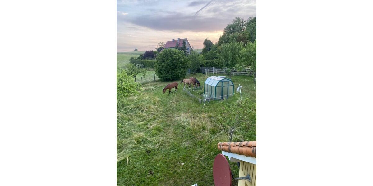 Provisionsfrei* Wohnen wie im Urlaub - Traumhaus im Biosphärenreservat Rhön 7 zimmer