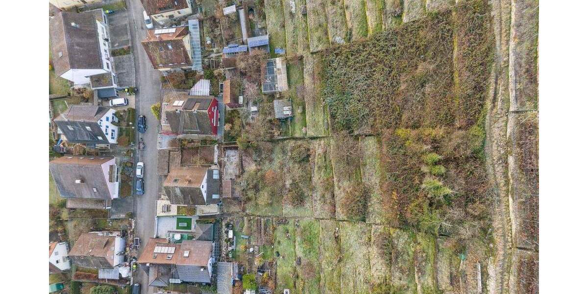 Ausblick, Natur, Familie und Weinberg zimmer