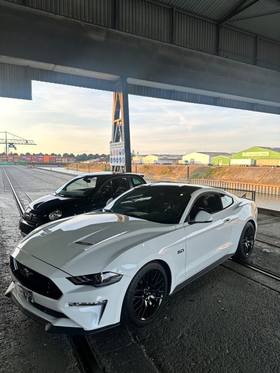 Mustang