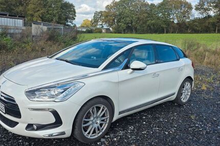 Citroen DS5 153.000 km 7.500 &euro; Ibbenbüren 49479