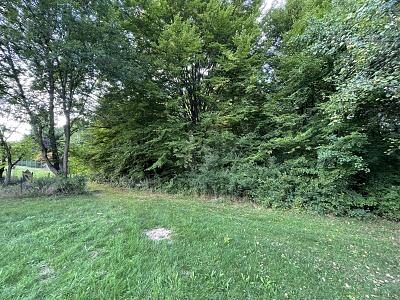 VIELSEITIGES ANWESEN  IDEEN OHNE GRENZEN - Grundstück Steinenbronn | Angebot:24706009