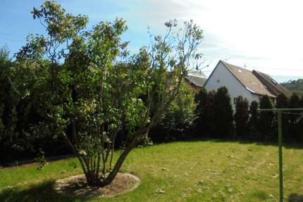 Wohnung zum Mieten in Monzingen 450 € 71 m²